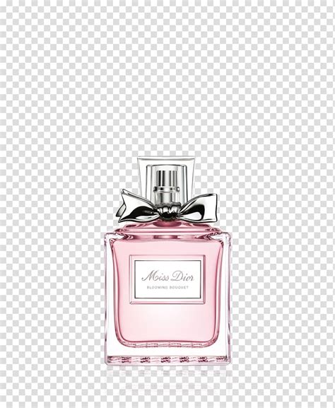 pink dior bottle|Dior pink water bottles sale.